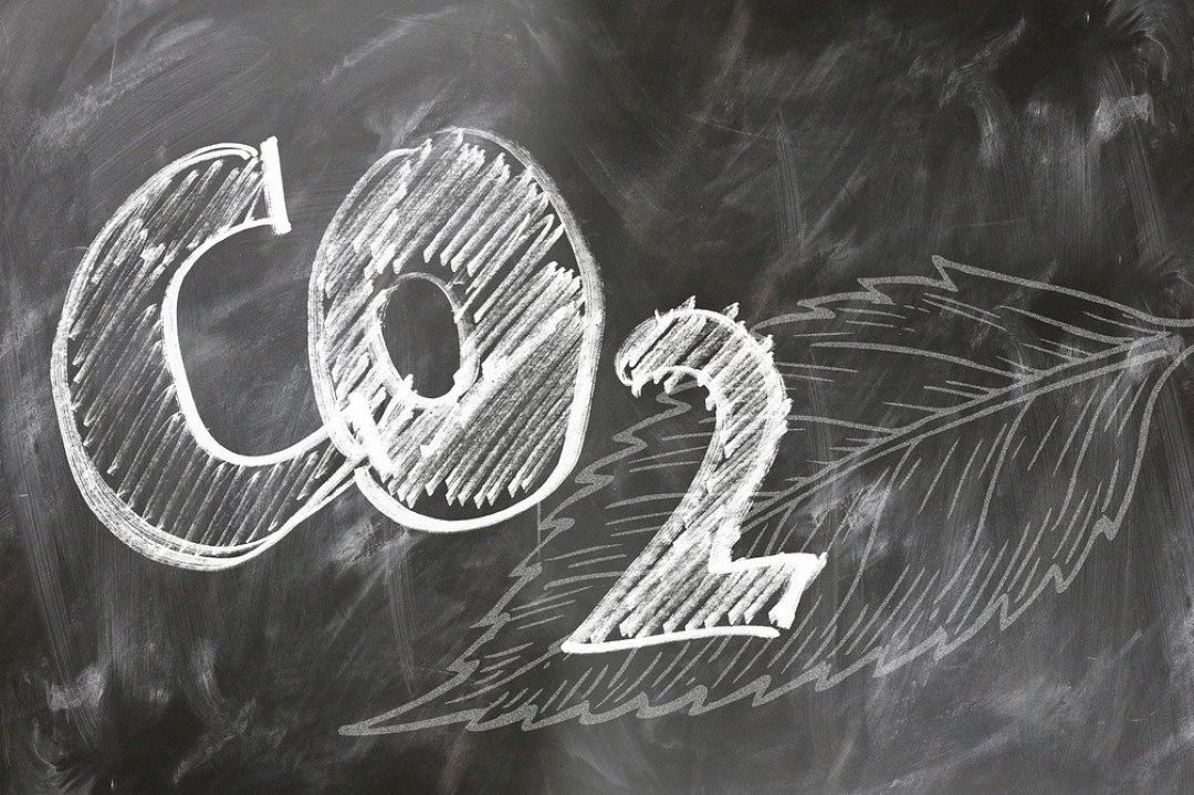 Capture Carbon Dioxide and Make Great Commercial Products