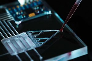 Researchers Invented Lab On A Chip For Personalized Drug Screening