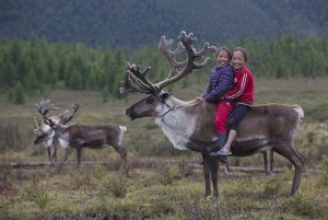 Vanishing Ice Threatens Mongolian Reindeer Herders’ Way Of Life