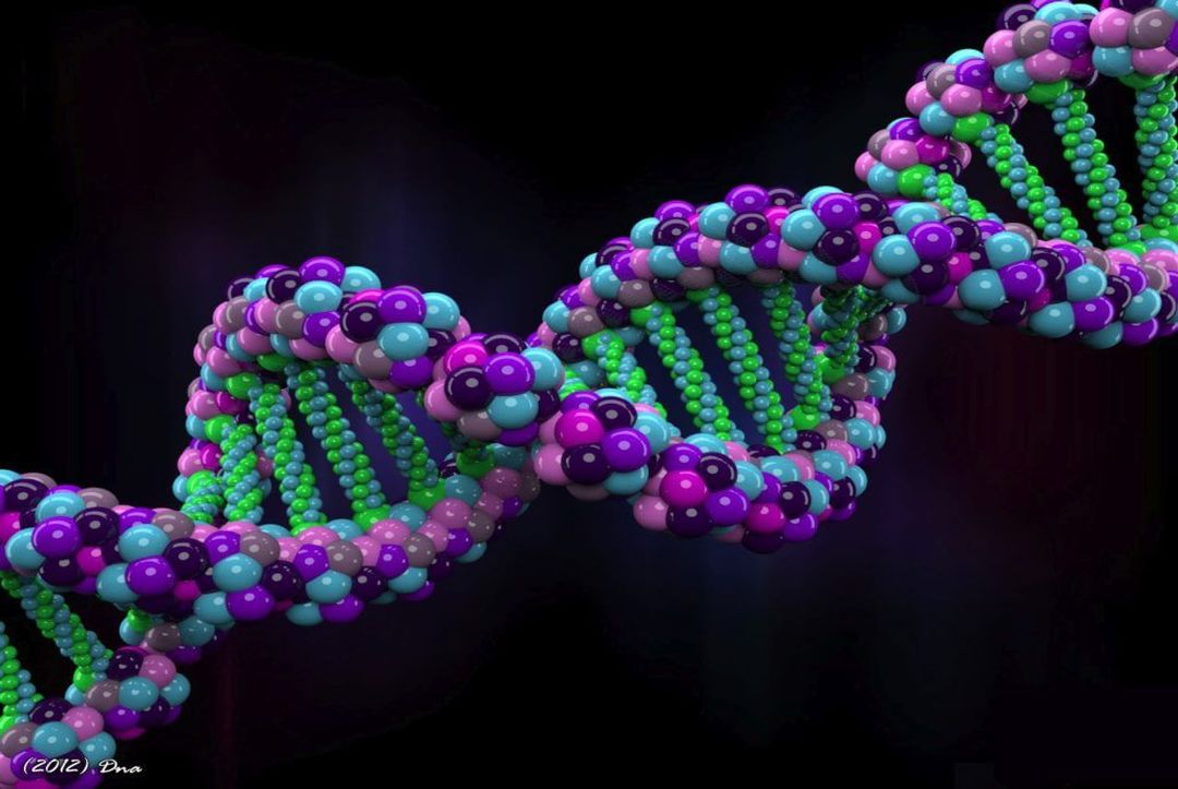 Algorithm Reveals DNA Structures That Influence Disease