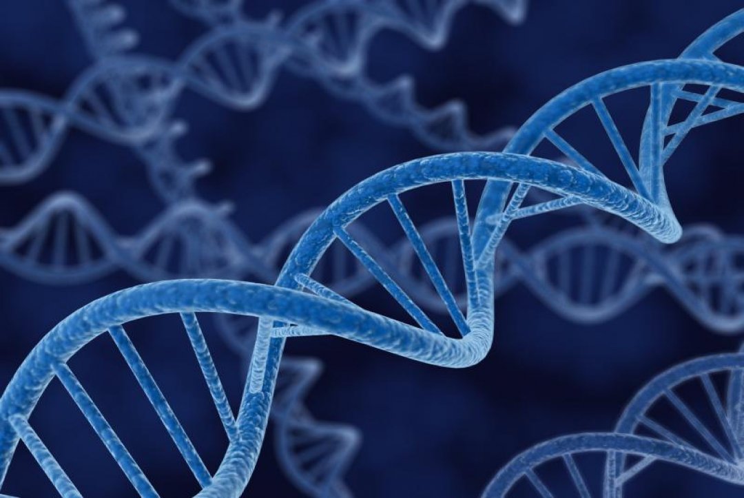 Scientists Claim To Predict Human Lifespan from DNA