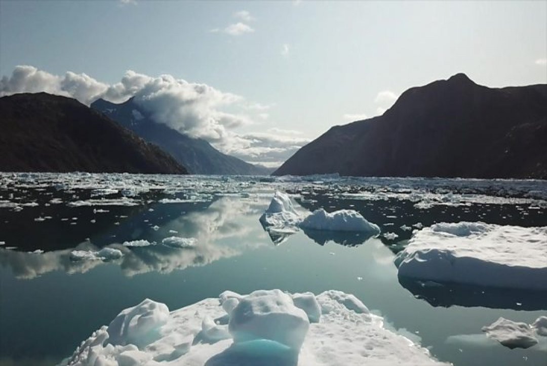 Record Warm Water In Antarctica Points Out The Cause Behind Ice Melting