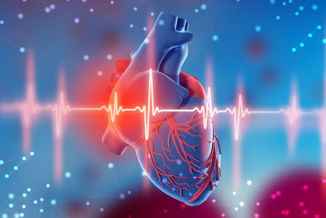 New Study Reveals How Low Oxygen Levels In The Heart Predispose People To Cardiac Arrhythmias