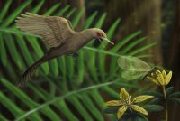 World’s Smallest Bird-like Dinosaur Discovered