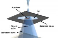 Scientists Developed Cheaper and Accessible Cryo-EM