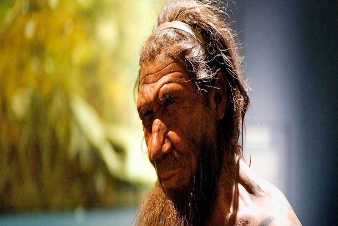 Neanderthals Admired Seafood And Were Skilled Fishers, Researchers Reveal