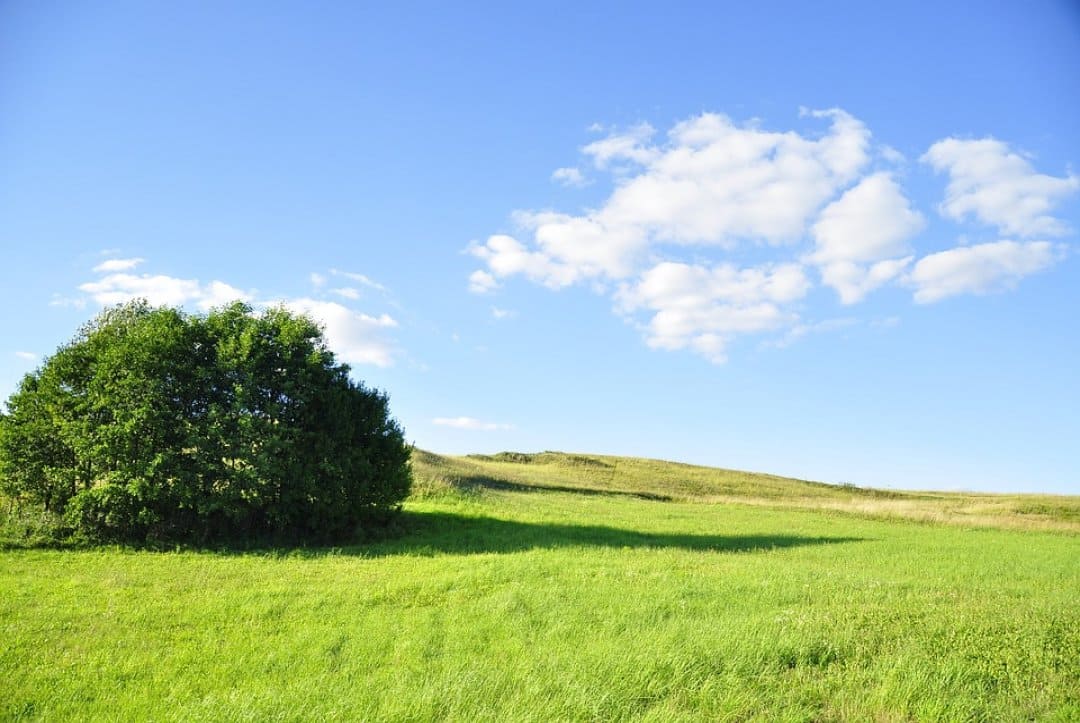 Environmental Science Quiz For Teenagers