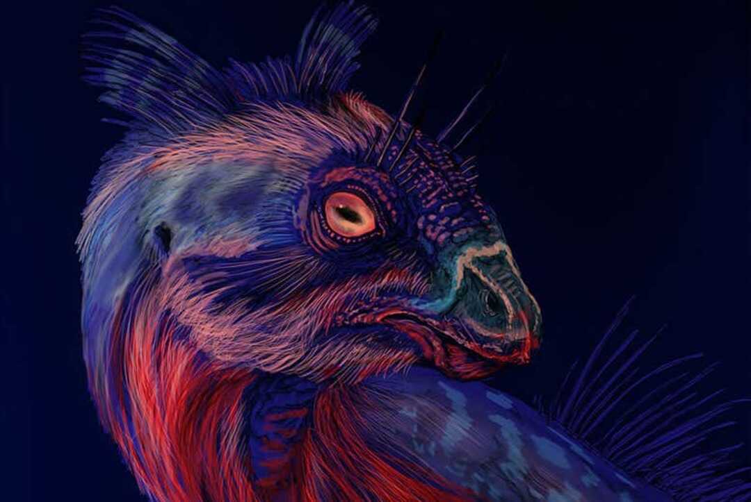 Some Dinosaurs May Have Had Ultraviolet Fluorescing Feathers And Horns