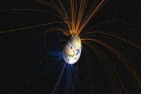 Earth’s Magnetic Field Varies 10 Times Faster Than Previously Thought