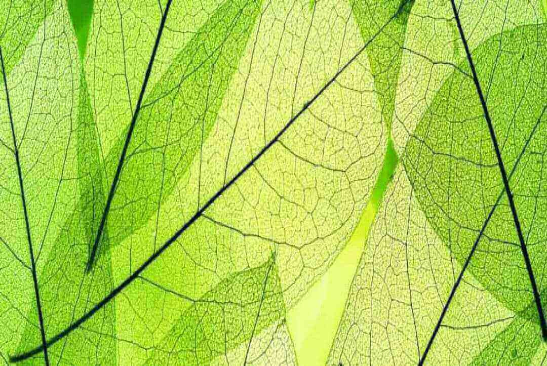 Artificial Photosynthesis Device Stores Sun’s Energy As Fuel