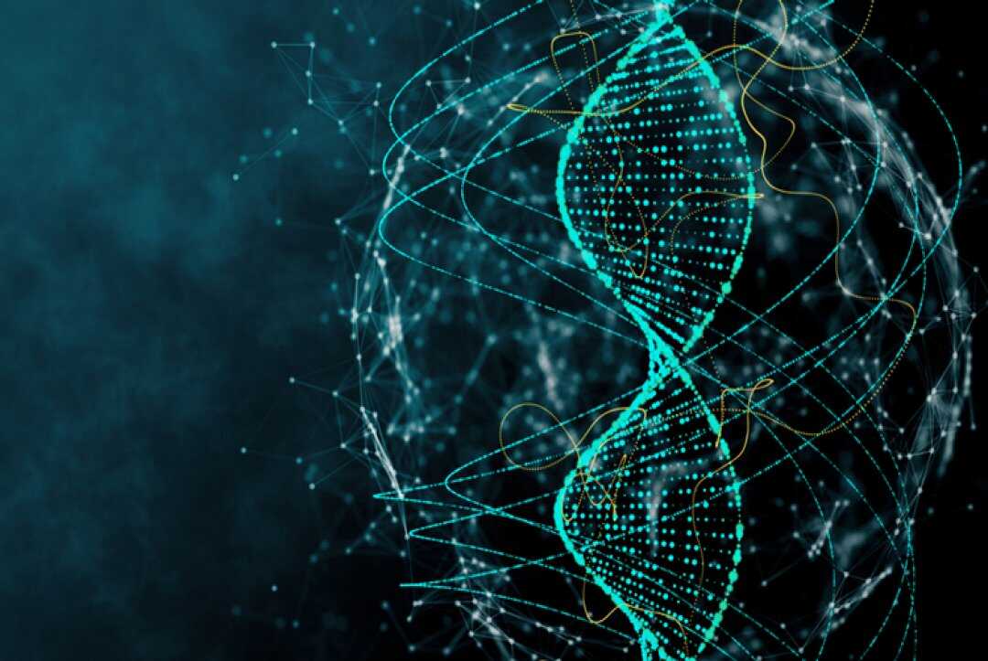 Algorithm Unveils DNA structures That Influence Disease