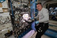 Scientists aboard International Space Station growing chili pepper