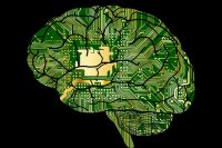 Scientists claim AI and implants can improve human brain
