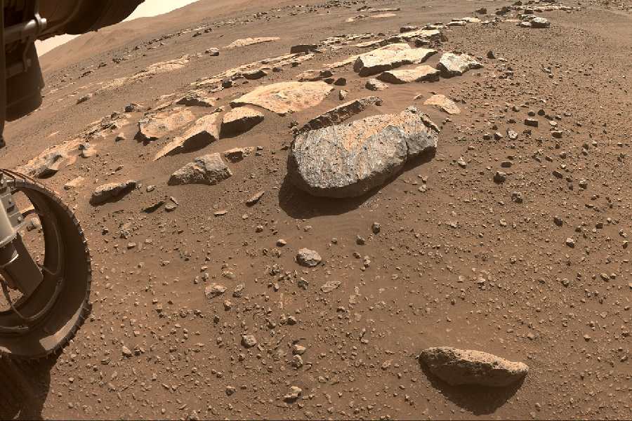 Mars Perseverance rover has found something exceptional